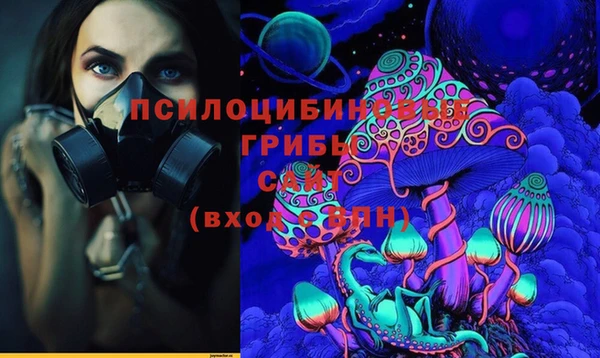 мяу мяу мука Дмитров