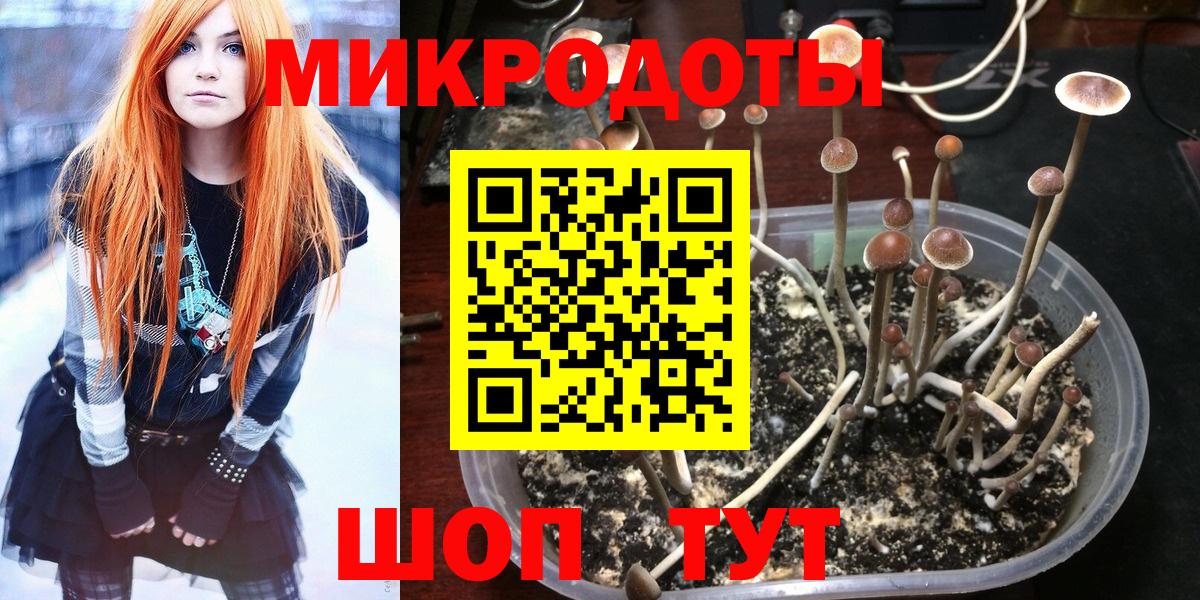 Заволжье  наркота  Вход с VPN  Псилоцибиновые грибы ЛСД 